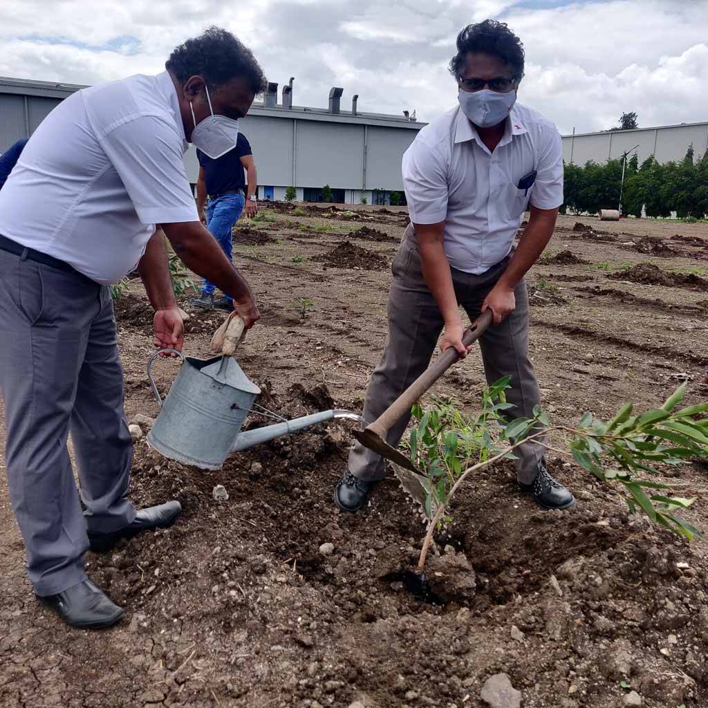 Two men watering a tree at the Huf India site in Pune