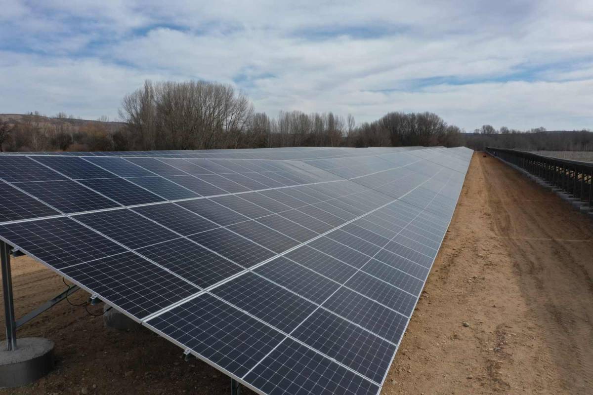 Solar panel, trees, blue sky